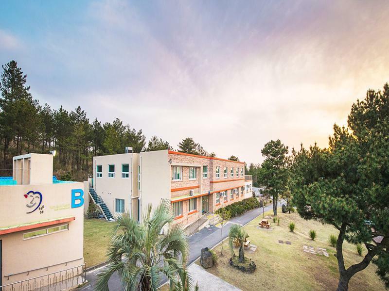 Jeju Youth Hostel Exteriér fotografie